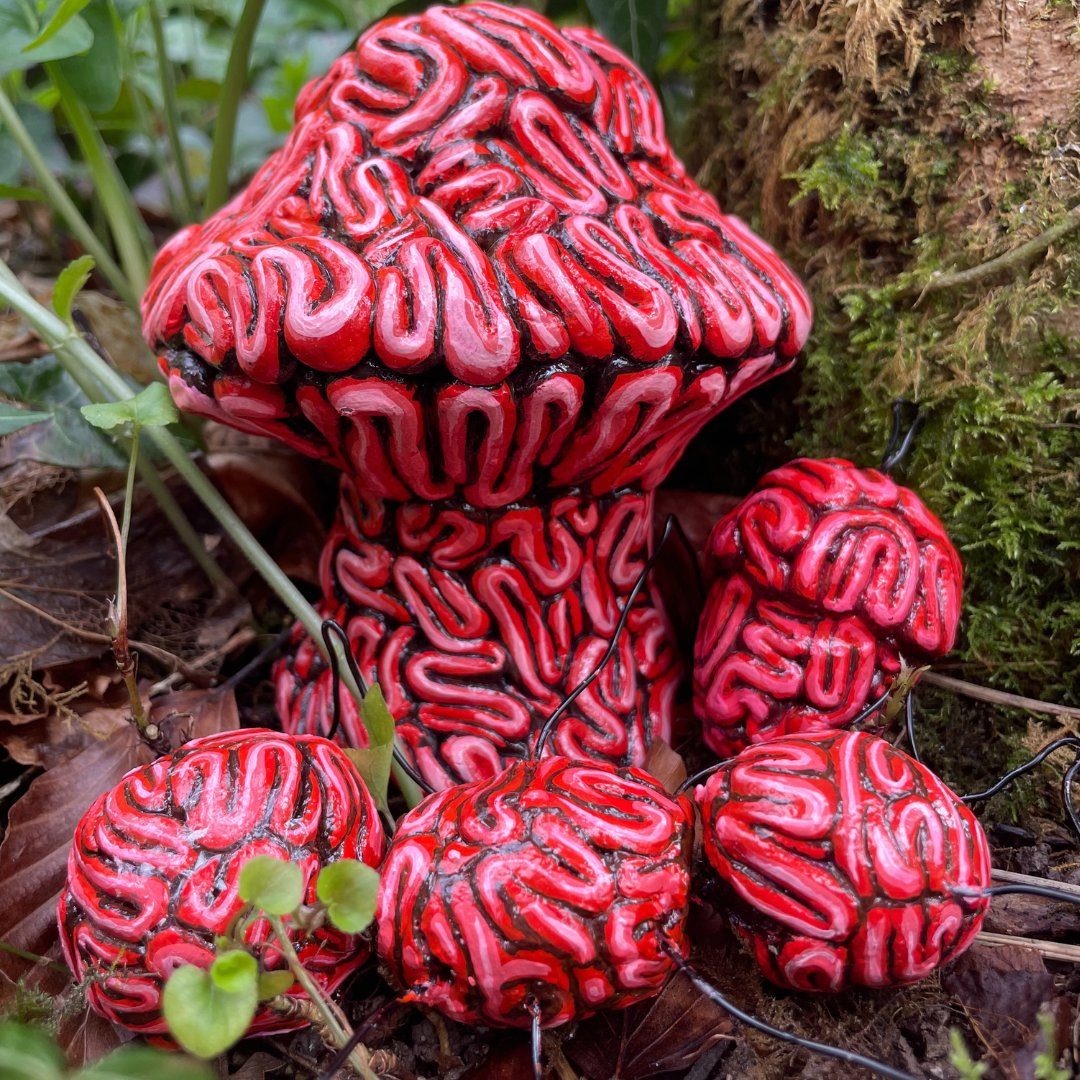 Red brain-textured clay mushrooms among moss and ivy