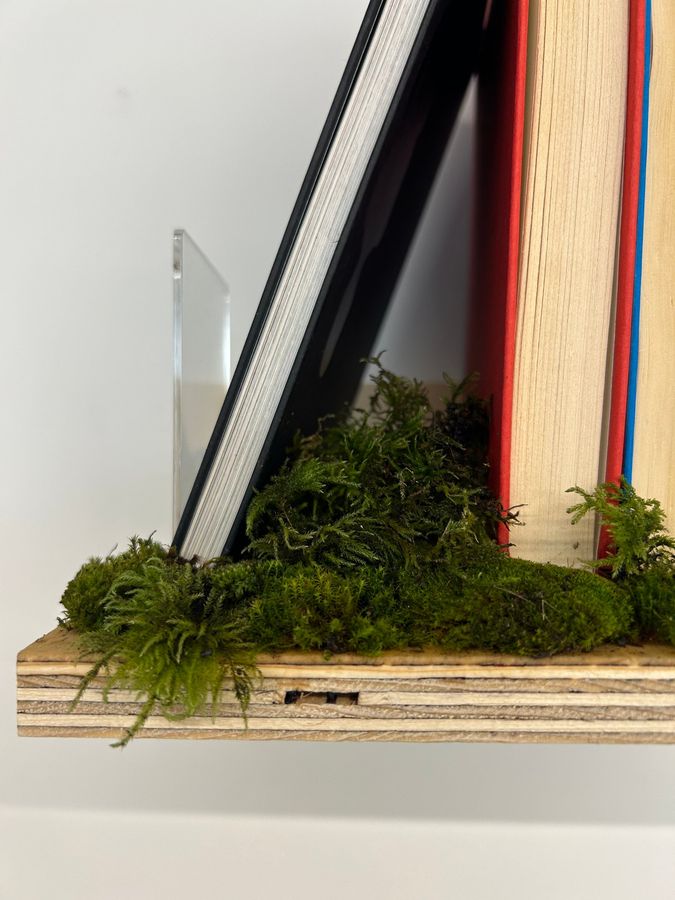 ‘Biophilia’, plywood shelves with moss and books