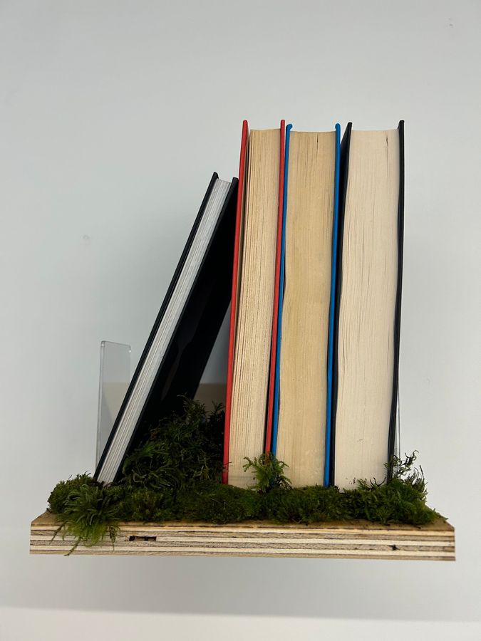 ‘Biophilia’, plywood shelves with moss and books