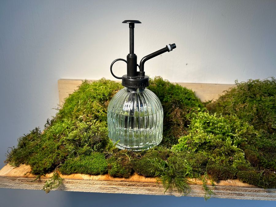 ‘Biophilia’, plywood shelves with moss and books