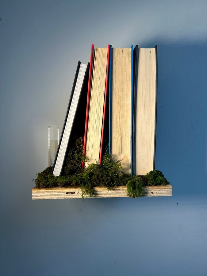 ‘Biophilia’, plywood shelves with moss and books