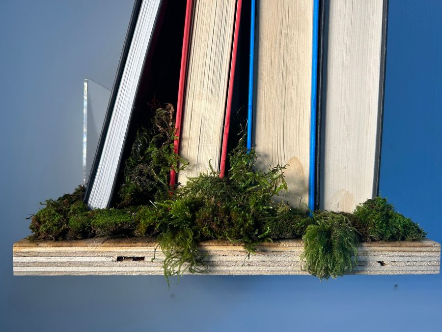 ‘Biophilia’, plywood shelves with moss and books
