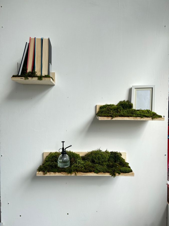 ‘Biophilia’, plywood shelves with moss and books
