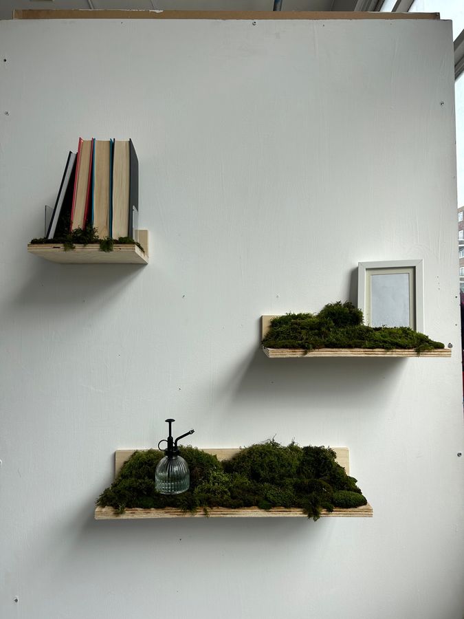 ‘Biophilia’, plywood shelves with moss and books