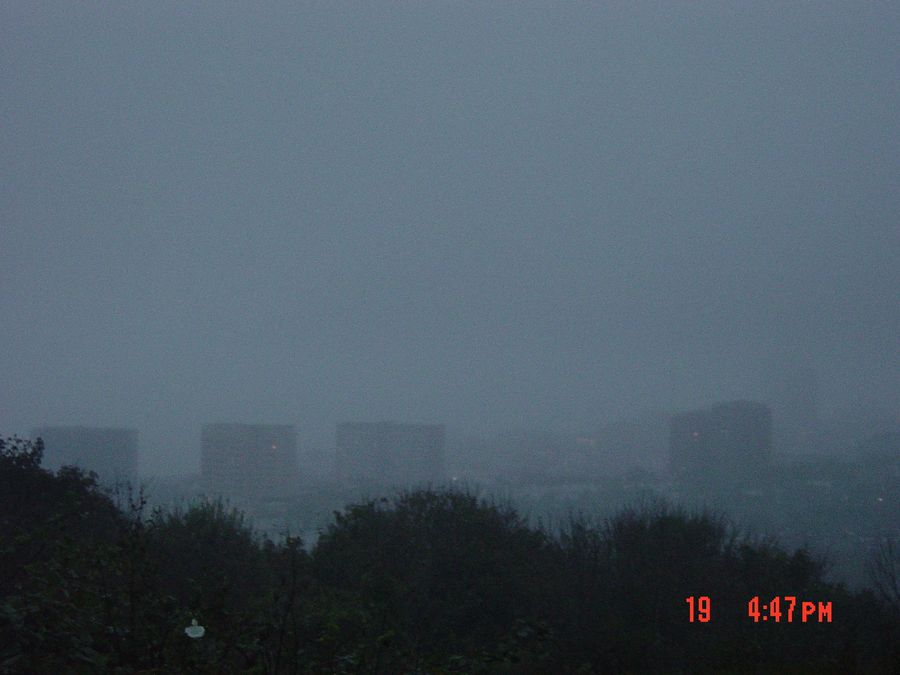 Digital Stills 2024-25