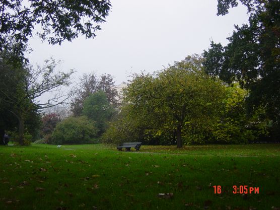 Digital Stills 2024-25