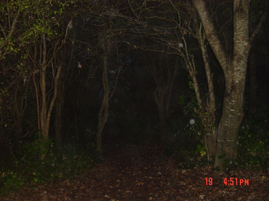 Digital Stills 2024-25
