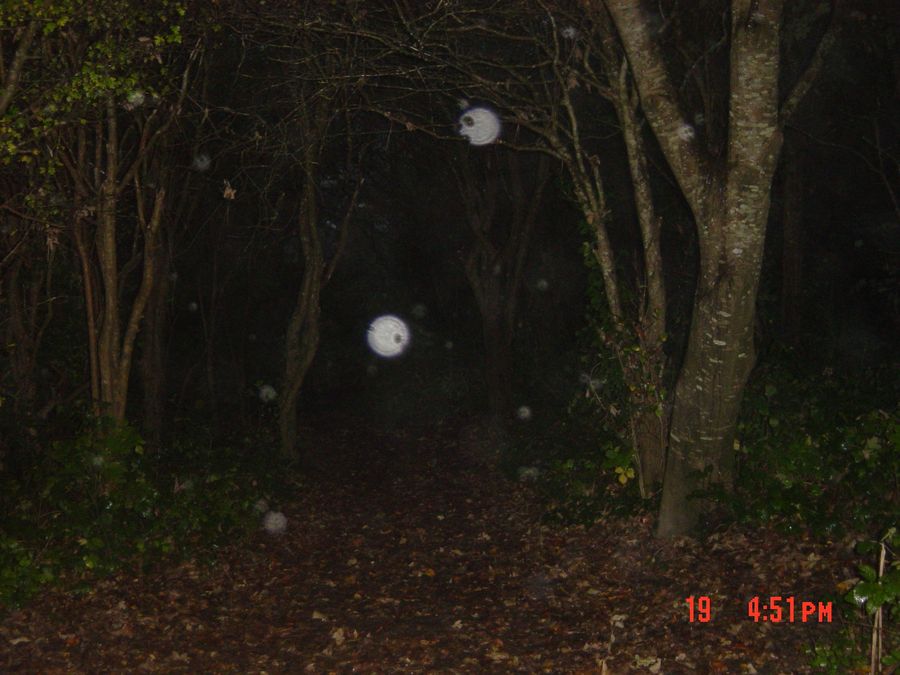 Digital Stills 2024-25