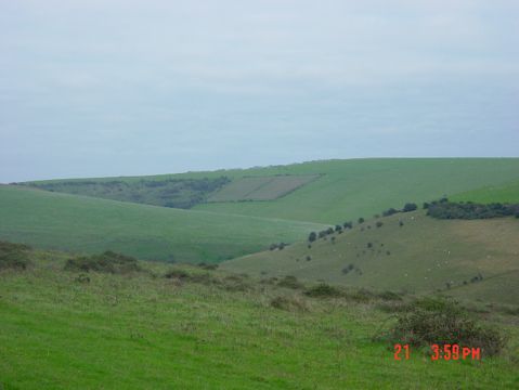 Digital Stills 2024-25