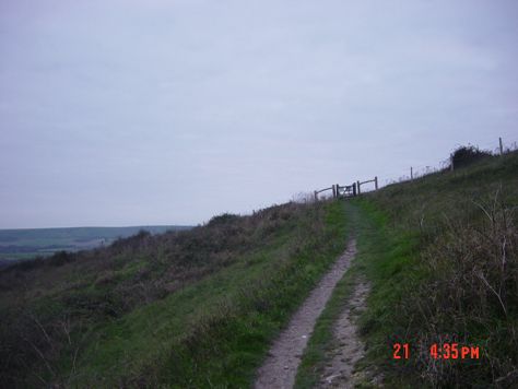Digital Stills 2024-25