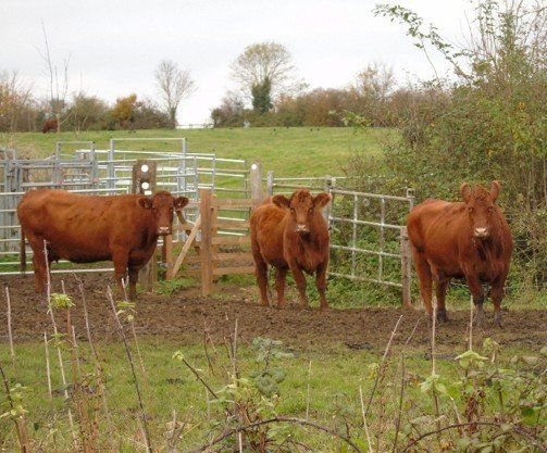 Digital Stills – Autumn 2024