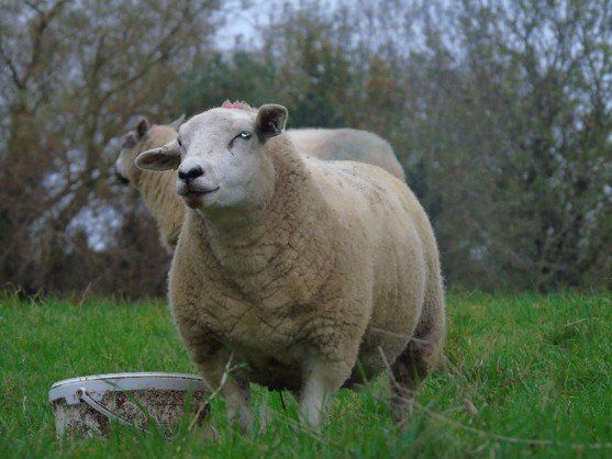 Digital Stills – Autumn 2024