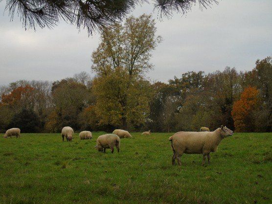 Digital Stills – Autumn 2024