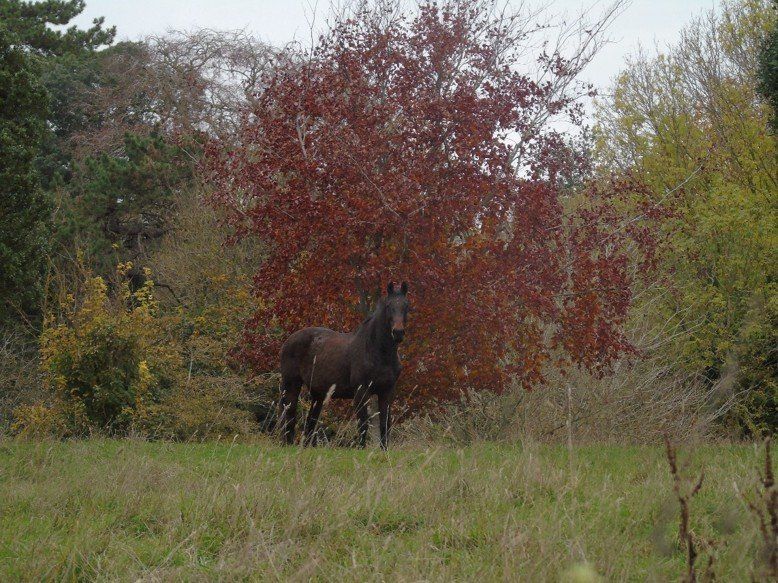 Digital Stills – Autumn 2024