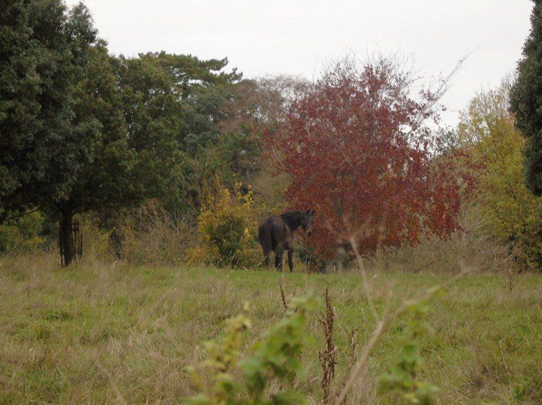 Digital Stills – Autumn 2024