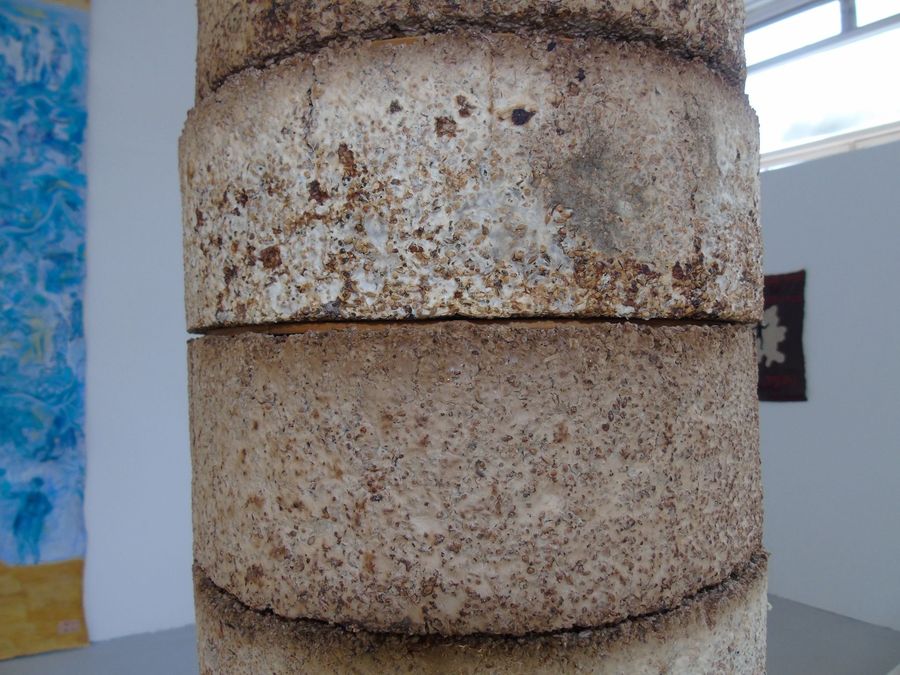 ‘The Living Material’, cultivated golden oyster mycelium