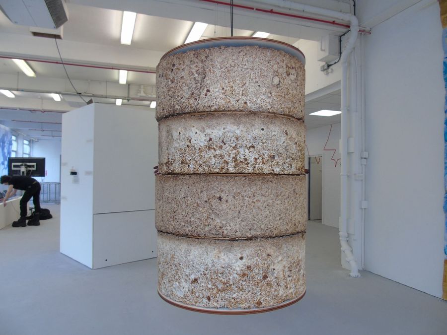 ‘The Living Material’, cultivated golden oyster mycelium