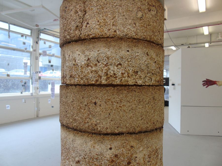 ‘The Living Material’, cultivated golden oyster mycelium